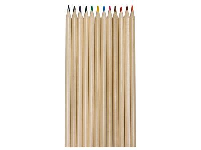 Набор из 12 трехгранных цветных карандашей Painter